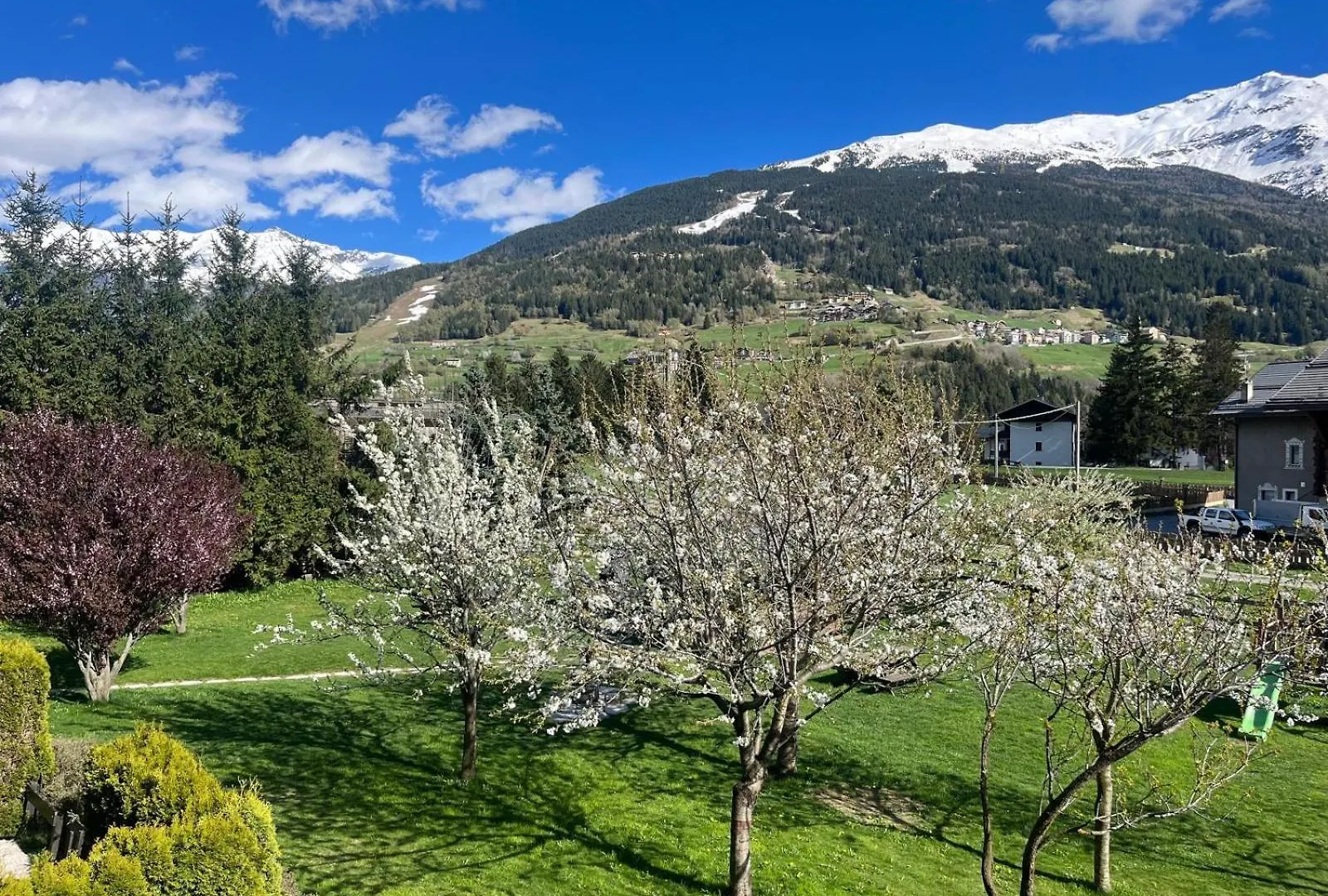 Chalet Stelle Di Neve Bormio 3*,